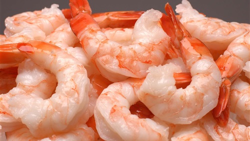 البوم صور  | شركة الامل للتوريدات الغذائية